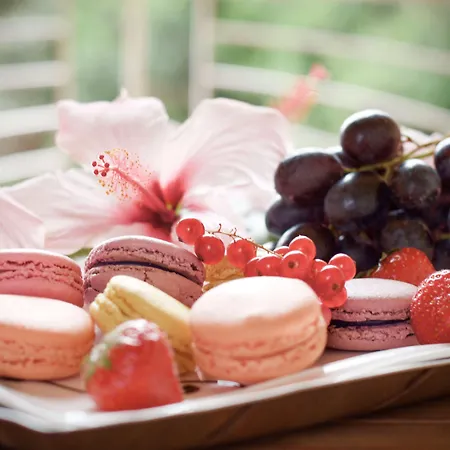 Ξενοδοχείο Almar Timi Ama